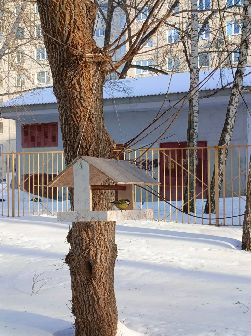 Экологическая акция «Покормим птиц зимой».  .