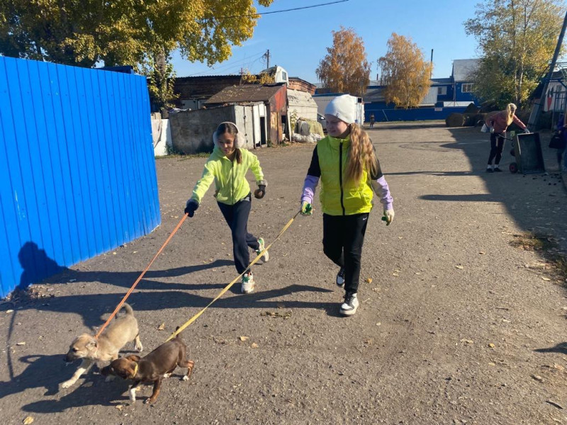 Волонтерский отряд «Наша эра» навестил приют "Ласка".