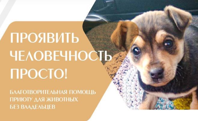 Мы рядом, друг!.