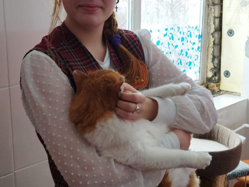 Акция помощи приюту «Бусинка» «Дай лапу, друг!».