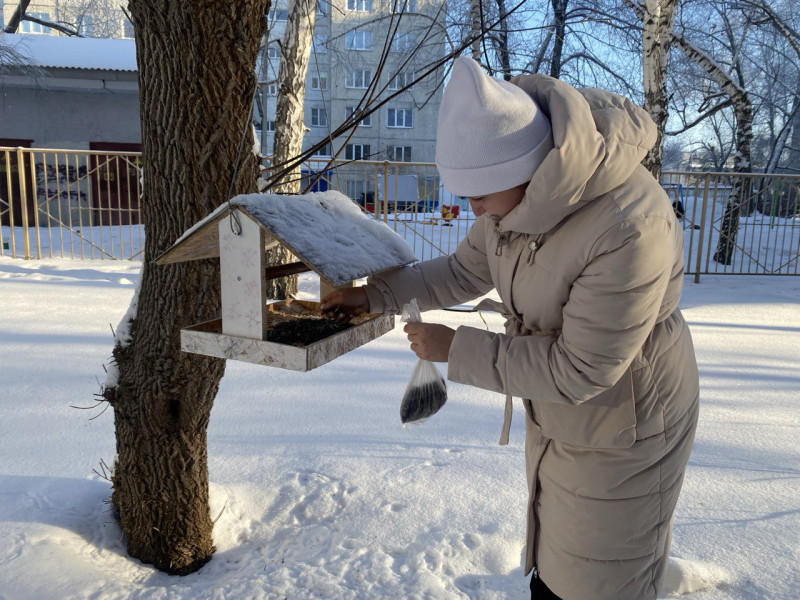 Экологическая акция «Покормим птиц зимой».  .