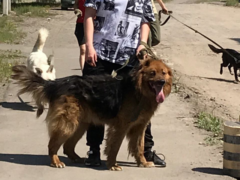 Лучше маленькая помощь, чем большое сочувствие!.