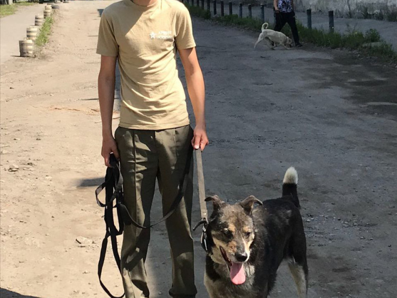 Лучше маленькая помощь, чем большое сочувствие!.