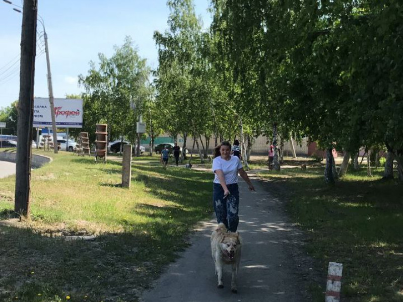 Лучше маленькая помощь, чем большое сочувствие!.