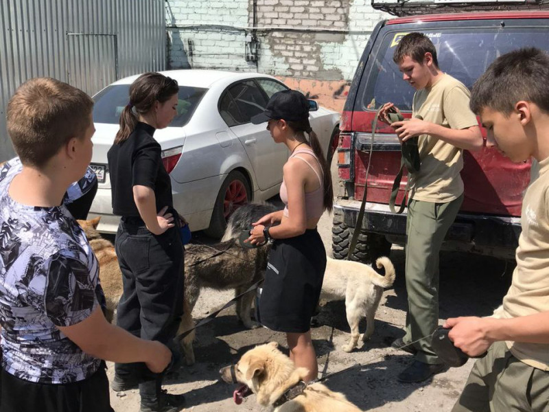 Лучше маленькая помощь, чем большое сочувствие!.