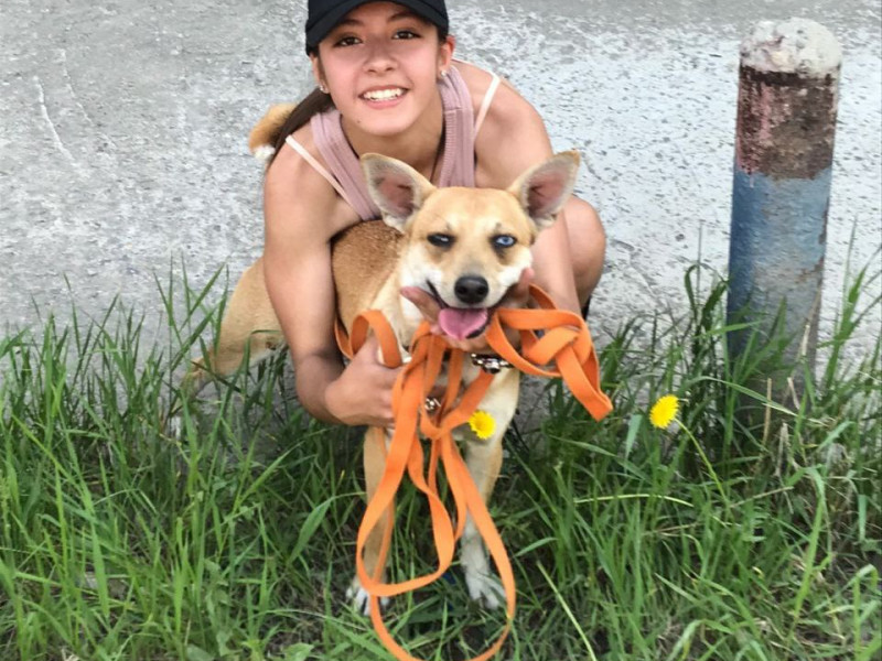 Лучше маленькая помощь, чем большое сочувствие!.